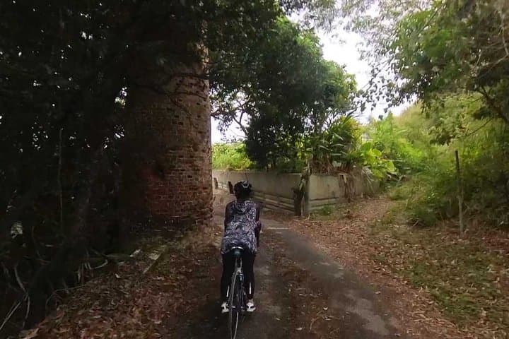 Hidden Paths to the Chinen and Nanjo Ruins — photo 18
