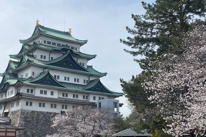 Private Nagoya Tour with a Nagoya Born Local Guide — photo 15