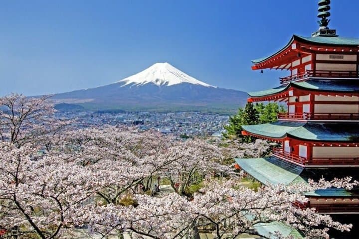 Mt Fuji Day Tour from Tokyo — photo 1