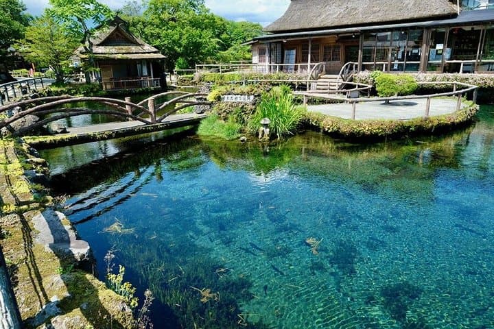 Mt Fuji Day Tour from Tokyo — photo 3