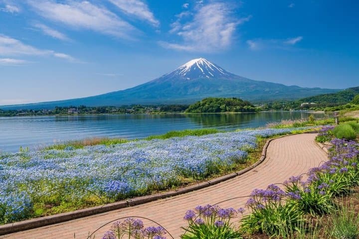 Mt Fuji Day Tour from Tokyo — photo 4