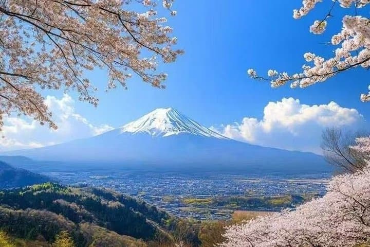 Mt Fuji Day Tour from Tokyo — photo 5