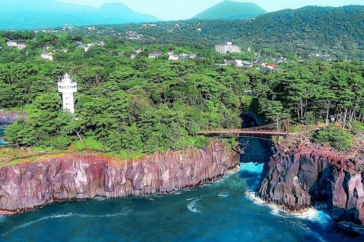 Izu Small Group: Ocean-View Train, Mt. Omuro & Coast — photo 4