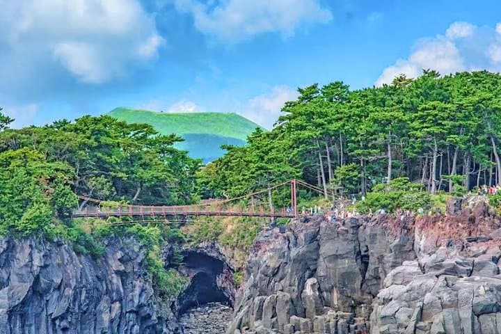 Izu Small Group: Ocean-View Train, Mt. Omuro & Coast — photo 7