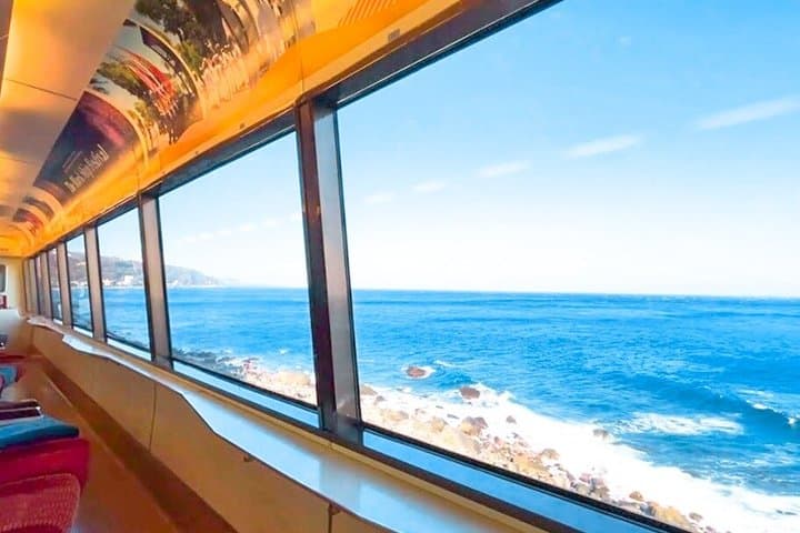 Izu Small Group: Ocean-View Train, Mt. Omuro & Coast — photo 3