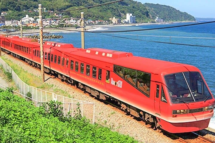 Izu Small Group: Ocean-View Train, Mt. Omuro & Coast — photo 18