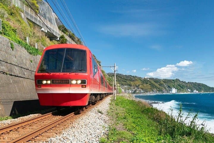 Izu Small Group: Ocean-View Train, Mt. Omuro & Coast — photo 20