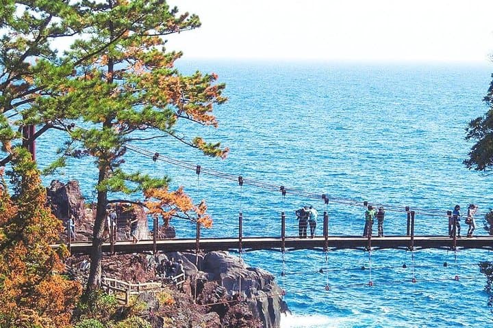 Izu Small Group: Ocean-View Train, Mt. Omuro & Coast — photo 5
