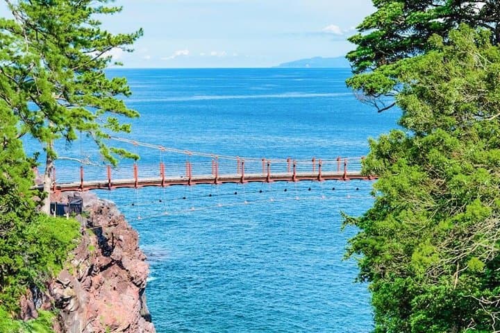 Izu Small Group: Ocean-View Train, Mt. Omuro & Coast — photo 16