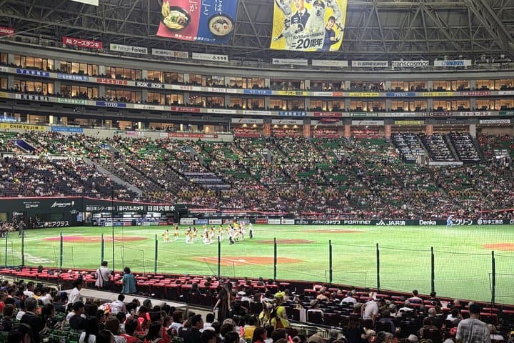 Fukuoka Baseball Stadium Tour with Game Ticket Option — photo 4