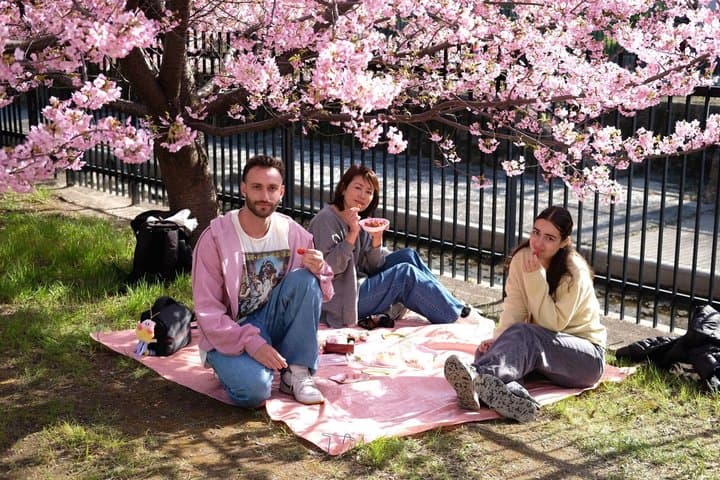 Hidden Cherry Blossom Sakura Picnic to Unwind like a Local — photo 7