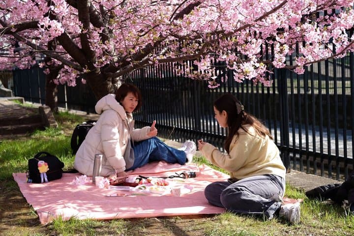 Hidden Cherry Blossom Sakura Picnic to Unwind like a Local — photo 5