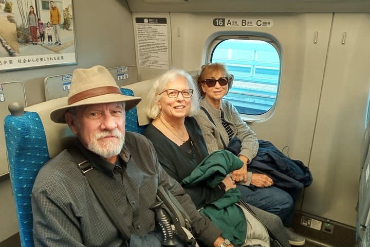 Best of Tokyo Private Tour for Yokohama Cruise Passengers — photo 5