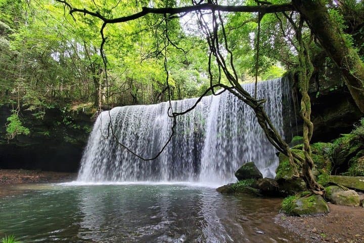 Oita: Kuju Waterfall and Private Geotharmal Tour — photo 6