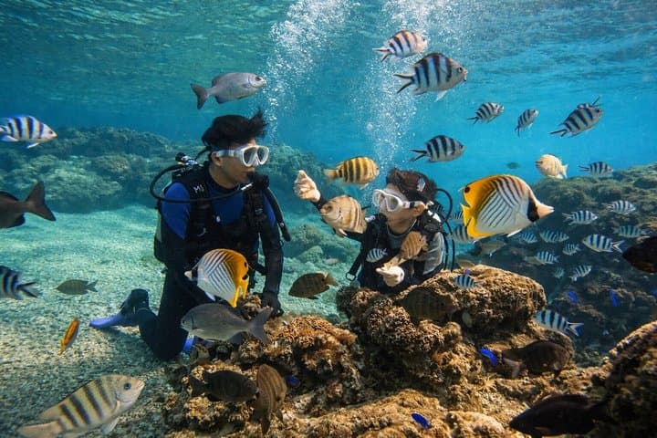 Try Scuba Diving diving at the Blue Cave in Onna Village, Okinawa — photo 3