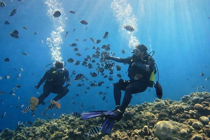 Try Scuba Diving diving at the Blue Cave in Onna Village, Okinawa — photo 7