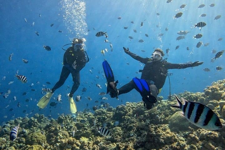 Try Scuba Diving diving at the Blue Cave in Onna Village, Okinawa — photo 9
