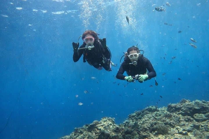 Try Scuba Diving diving at the Blue Cave in Onna Village, Okinawa — photo 10