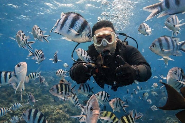 Try Scuba Diving diving at the Blue Cave in Onna Village, Okinawa — photo 17