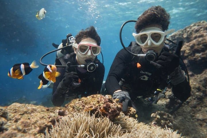 Try Scuba Diving diving at the Blue Cave in Onna Village, Okinawa — photo 19