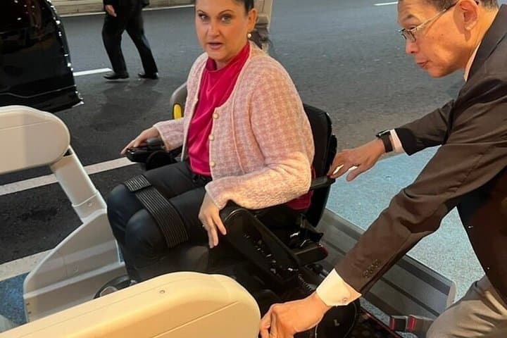 Accessible Mt Fuji and Hakone Tour with English Speaking Driver — photo 1