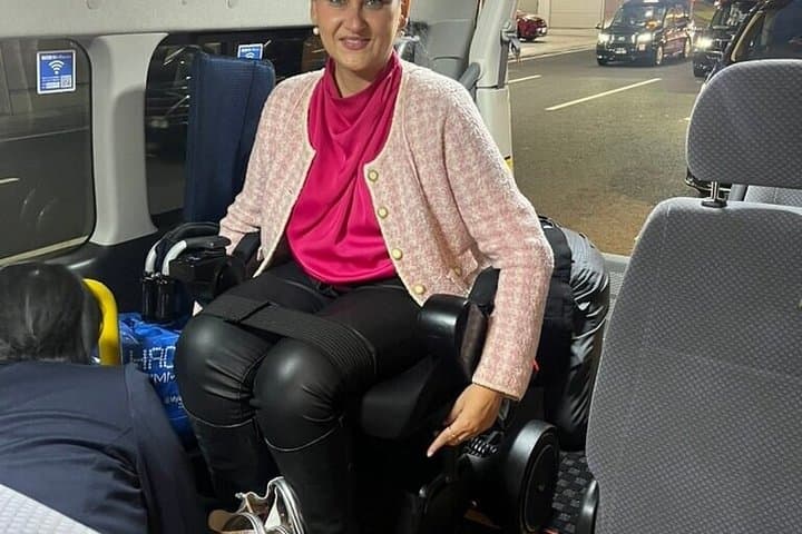 Accessible Mt Fuji and Hakone Tour with English Speaking Driver — photo 4