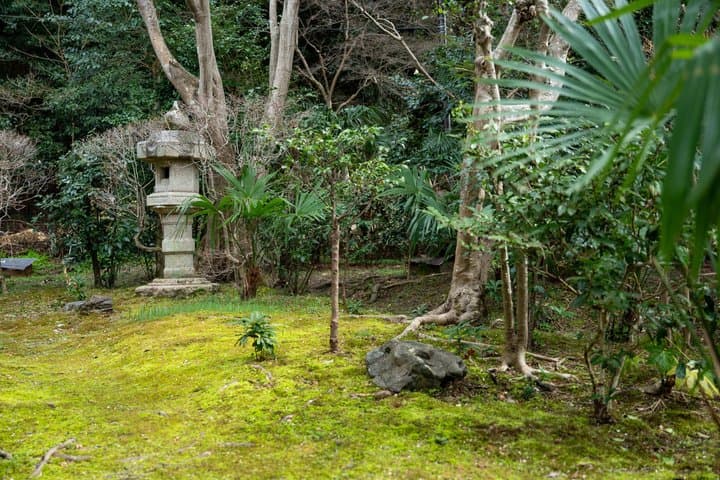 Uji Matcha Tasting & Tea Ceremony with Former Geiko + Uji Walk — photo 12
