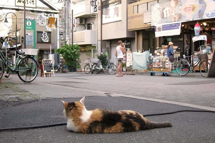 Hidden Yanaka & Nezu: Authentic Old Tokyo Escape – Walking Tour — photo 2