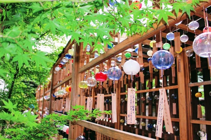 Tokyo: Karuizawa, Kawagoe & Hoshino Resort Shrine Day Tour — photo 5