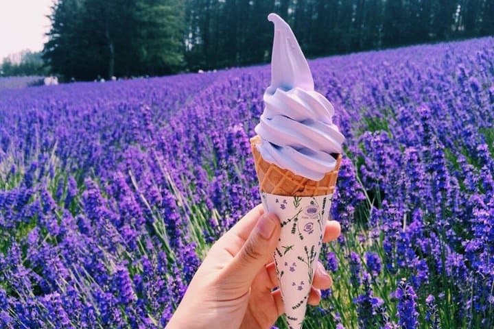 Hokkaido: Biei Blue Pond and Furano Flower Farm Day Trip — photo 10