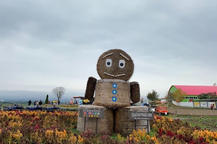 Hokkaido: Biei Blue Pond and Furano Flower Farm Day Trip — photo 11