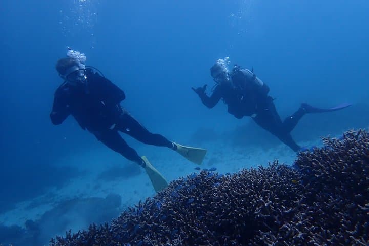 [Half day] Charter diving experience at Ishigaki Island - Novices welcome!!～ — photo 14