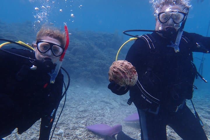 [Half day] Charter diving experience at Ishigaki Island - Novices welcome!!～ — photo 15