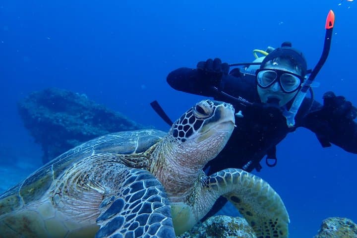 【1st】Private Diving Experience at Ishigaki Island - Novices welcome!～ — photo 14