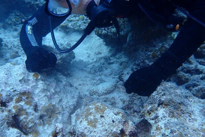 【1st】Private Diving Experience at Ishigaki Island - Novices welcome!～ — photo 15