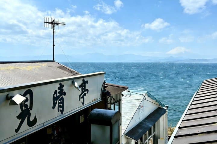 One Day Tour in Kamakura from Tokyo Including Enoden Experience — photo 3