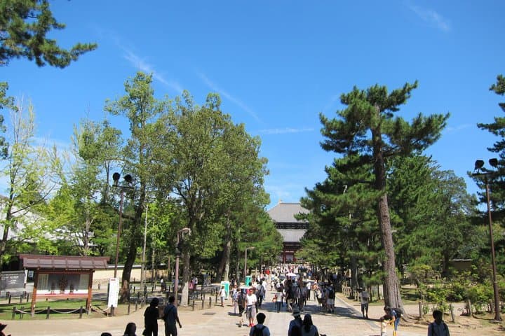 One-day tour to Amanohashidate with Ine no Funaya — photo 6