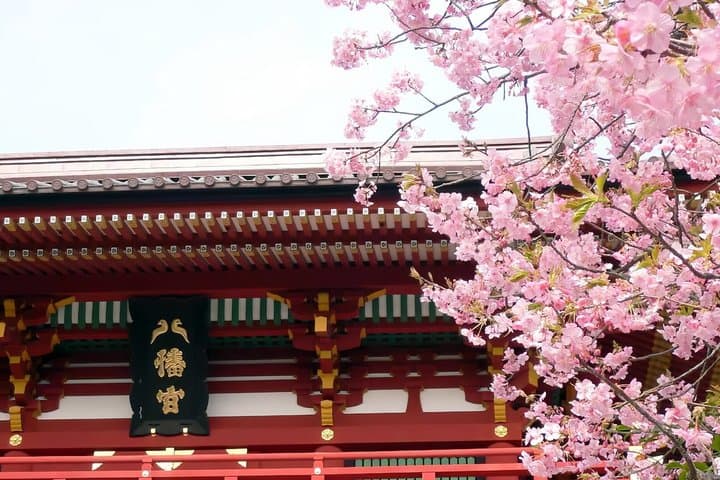 Kamakura Day Tour from Tokyo — photo 17