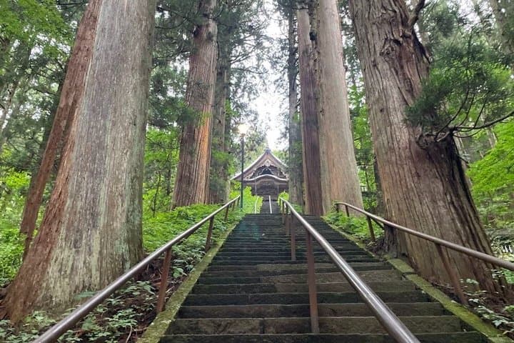 Togakushi Shrine & Snow Monkey Full-day Private Tour — photo 5