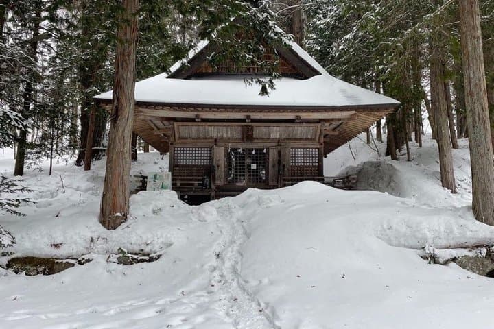 Togakushi Shrine & Snow Monkey Full-day Private Tour — photo 7