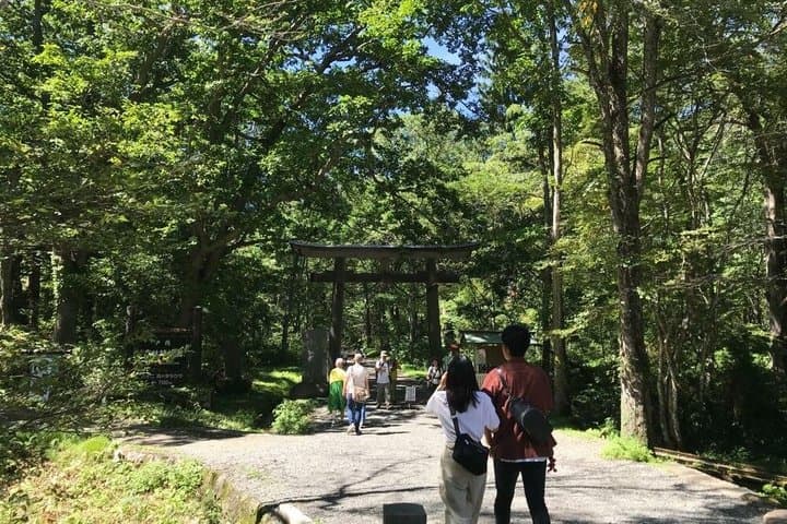 Togakushi Shrine & Snow Monkey Full-day Private Tour — photo 2