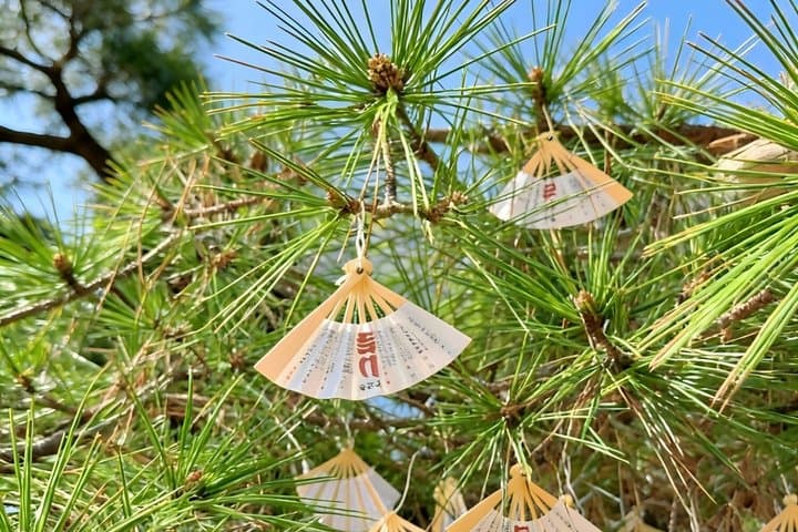 One-day tour to Amanohashidate with Ine no Funaya — photo 2