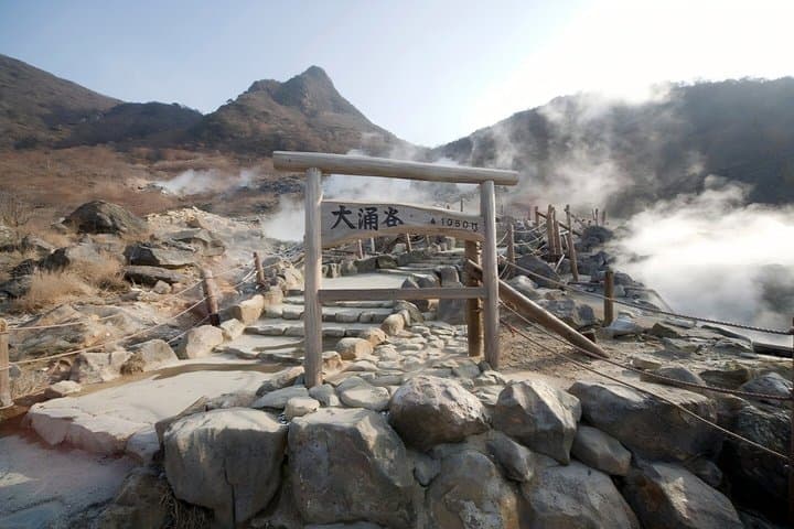 From Tokyo One Day Tour of Hakone and Owakudani — photo 3