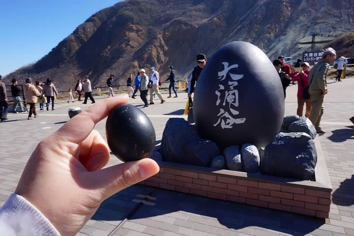 From Tokyo One Day Tour of Hakone and Owakudani — photo 4