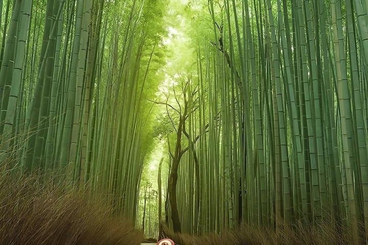 Kyoto Private Tour by Car with English Driver — photo 8