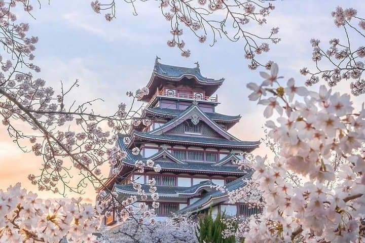 Kyoto Private Tour by Car with English Driver — photo 18