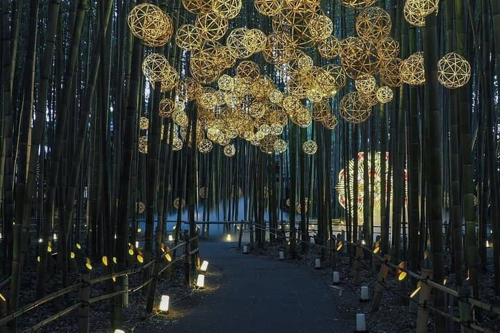 Kyoto Private Tour by Car with English Driver — photo 11