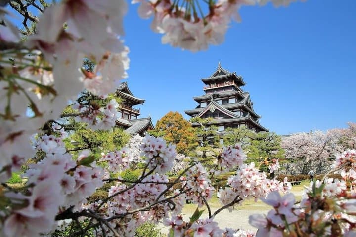 Kyoto Private Tour by Car with English Driver — photo 17