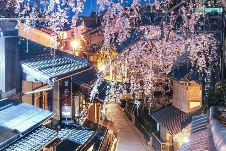 Kyoto Private Tour by Car with English Driver — photo 19