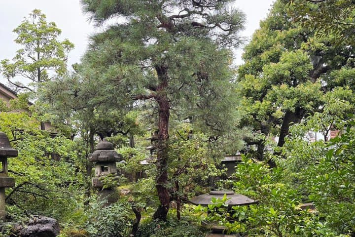 Private Tour of Kanazawa 1 Day The Must-Sees — photo 4